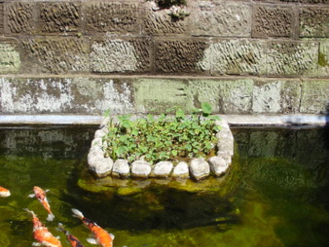 ���l����