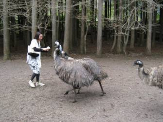 �x�m�Ԓ���