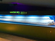 䂩񂳂̓CwCmȊwق̓eʐ^1