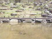 䂤䂿񂳂́yxْz̓eʐ^1