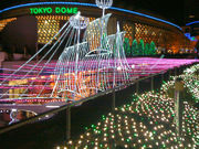 Y̓h[VeB AgNVY̓eʐ^1