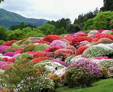 Ђ񂳂̎R̃zẽccW̓eʐ^1