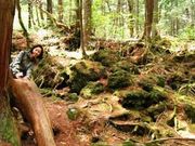 kametaro36̐؃PC̓eʐ^1