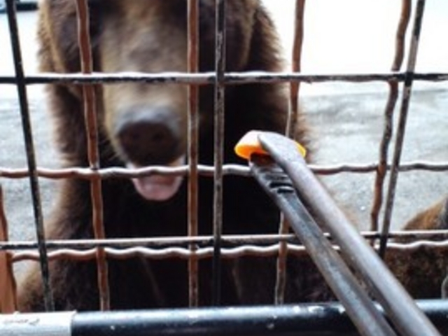 �x�m�T�t�@���p�[�N