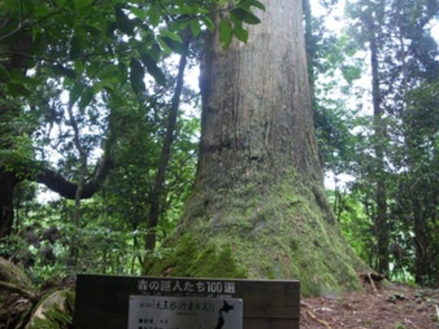 ftman̏Ό̍sҐ̓eʐ^1