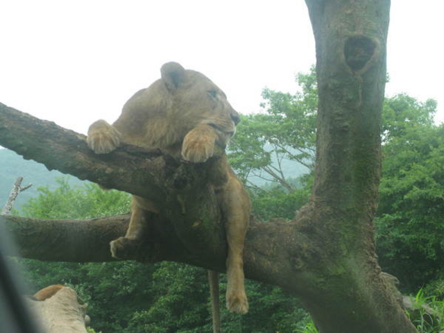 �x�m�T�t�@���p�[�N