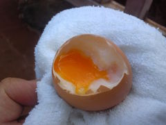 A[`̏WF[gJtFChaya{Xւ̓eʐ^1