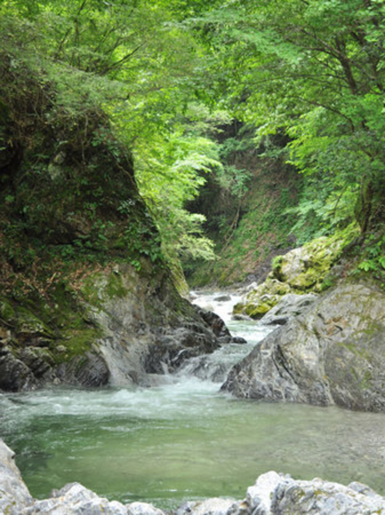 下伊那郡阿南町・下條村・泰阜村 ２０１００１/ゼンリン（単行本） 下伊那郡阿南町・下條村・泰阜村 201001/ゼンリン（単行本）