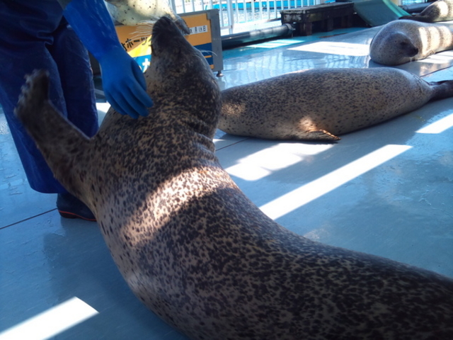 �I�z�[�c�N�Ƃ�����Z���^�[