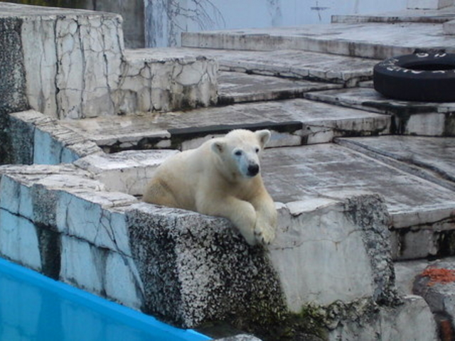 �~�R������