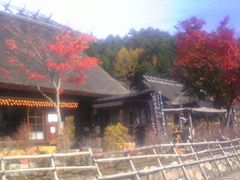 n}̂悿񂳂̐΂₵̗ւ̓eʐ^1