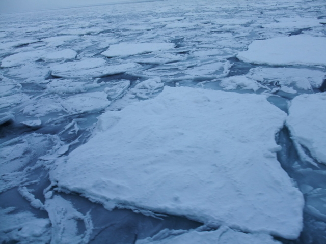 �I�z�[�c�N�C�̗��X