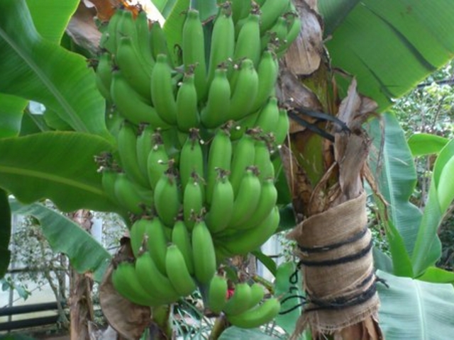 �����M�ѐA����