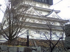 BRYAN.A.̏qւ̓eʐ^1