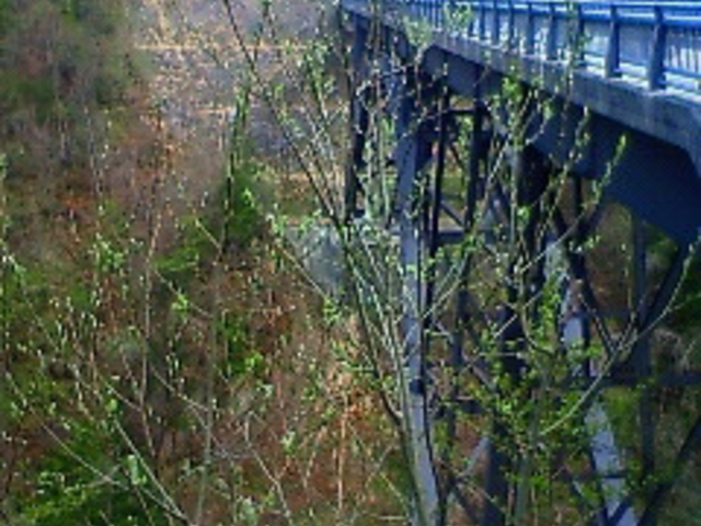 �k�A���v�X�勴