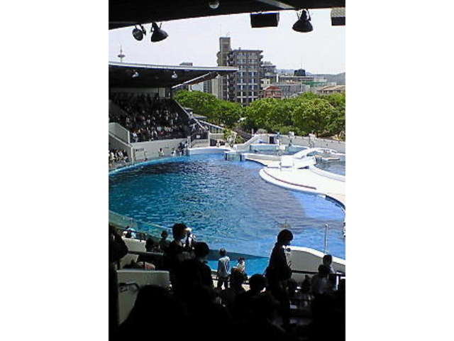 ���s������