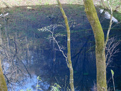 riversweets̐rւ̓eʐ^1