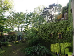 O̐XWupفiOsAj[Vpفj̎ʐ^1