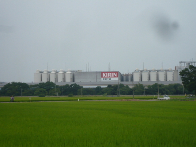 �L�����r�[���@����H��