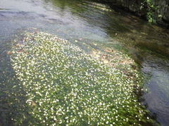 Nvg̐䐅̏hwւ̓eʐ^1