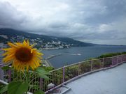 yuukuñA^~[vEFC̓eʐ^1