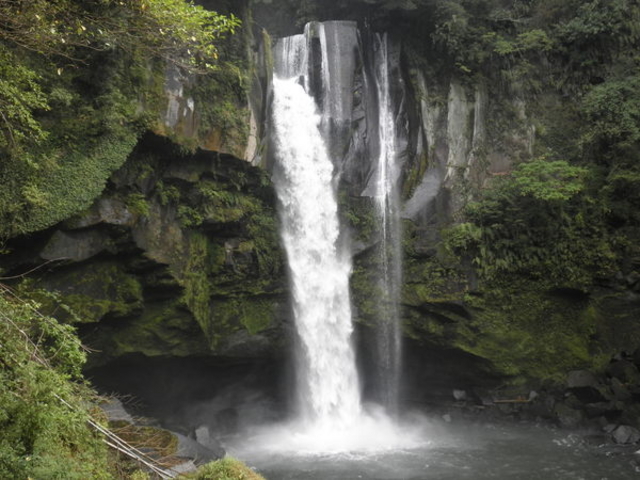 ������V����