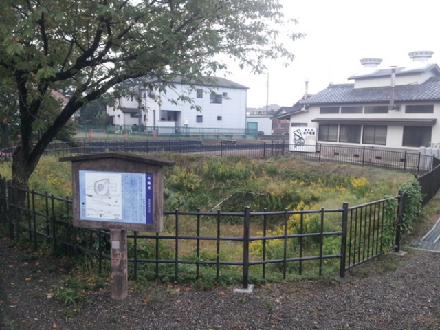 �����}�[����̎��Ȉ�̓��e�ʐ^1