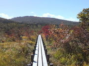 �a����̐��E�J�n�����ԉ����R�����̓��e�ʐ^1