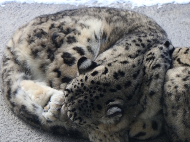 �~�R������