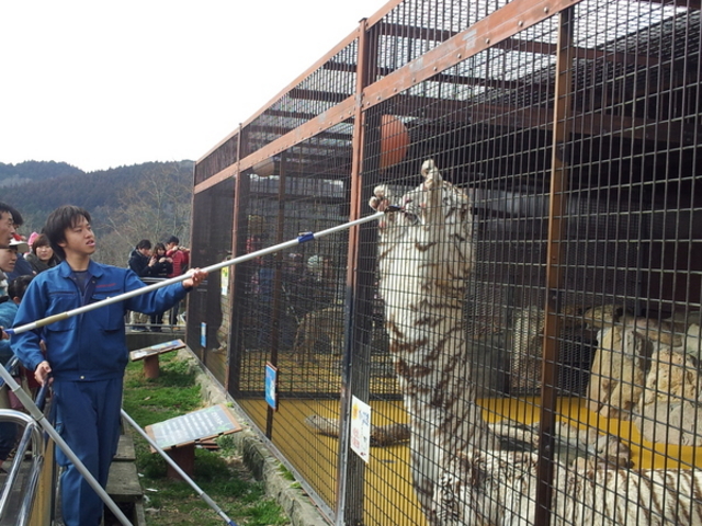 �H�g�䎩�R���������T�t�@�������h