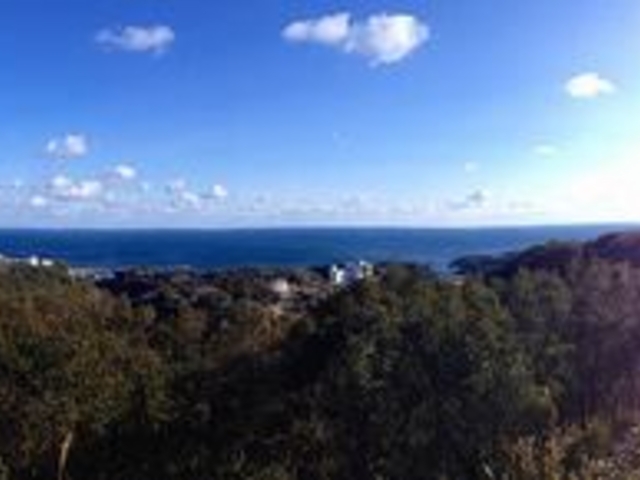 �p�[�����[�h