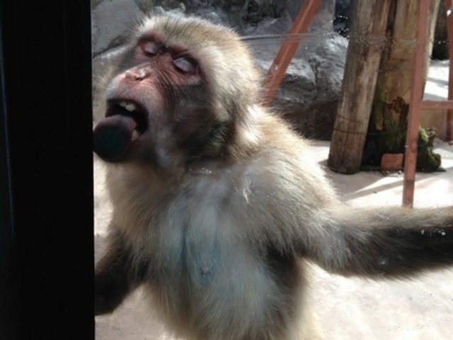 ���R������