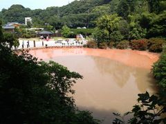 Ro񂳂̌̒rnւ̓eʐ^1