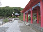 maneki̗kM܂̗̓eʐ^1