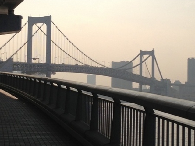 ���C���{�[�u���b�W�V����