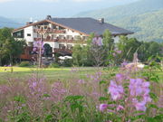 TY񂳂̃EXeEAs[i̓eʐ^1