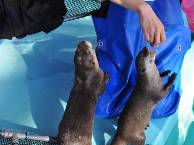 �j�l������