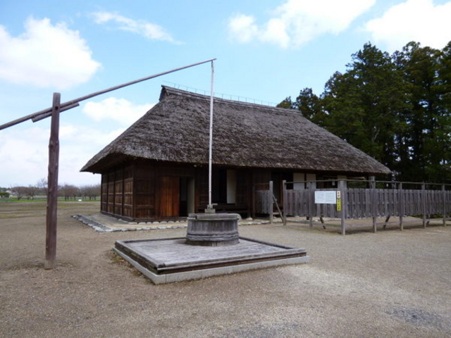 �����w����