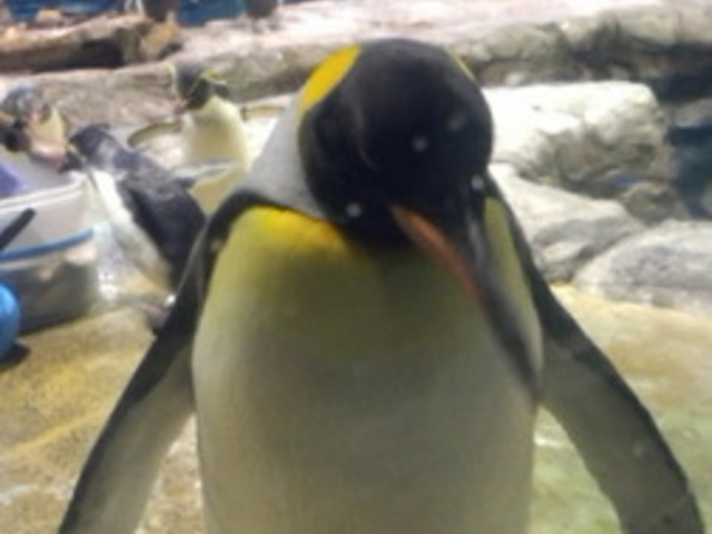 ���֎s�������̂��������فE�C����