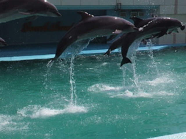 ��m���r�[�`�����h&��m���������ቤ��