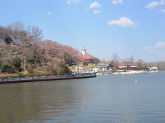 �ߐ{�������ǂ��΃t�@�~���[�q��̎ʐ^1