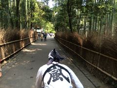 (*^^*)̂тR`{Xւ̓eʐ^1