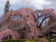 ҂̂̎_̃CgUN̓eʐ^1