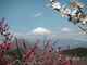 ぶんちゃんさんの岩本山公園の投稿写真1
