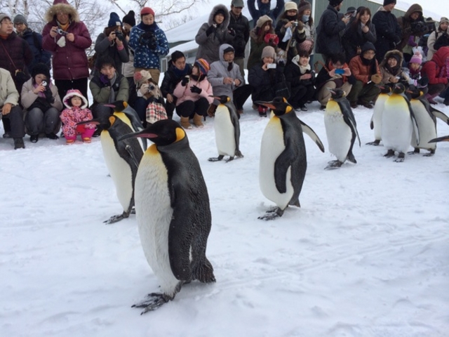 ���R������