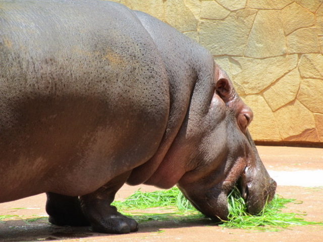 ���R���A����