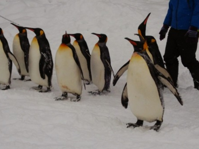 ���R������