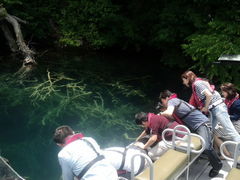 ԁ[񂳂̃Oh@RIB Tripւ̓eʐ^1