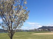 V񂳂̖E`mC̓eʐ^1