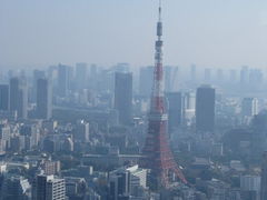 ҂҂낳̘Z{؃qYւ̓eʐ^1